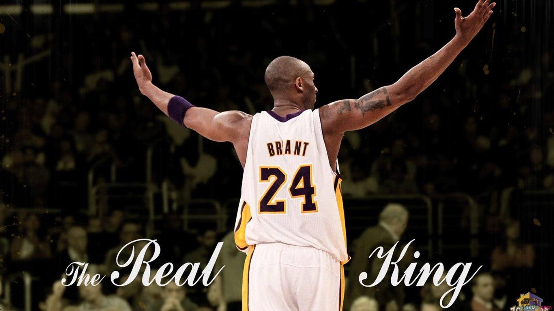 申京轰16+8+7开门红！波神被打服，他像是小约基奇